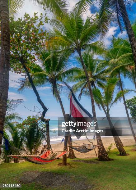 beach, corcovado national park, costa rica - costa rica flag stock pictures, royalty-free photos & images