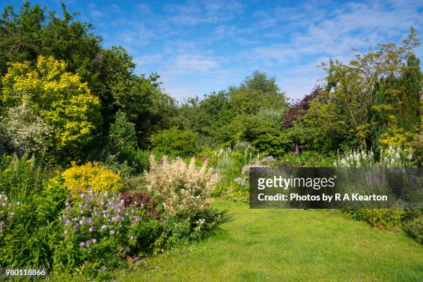 english cottage garden in june - garden stock pictures, royalty-free photos & images