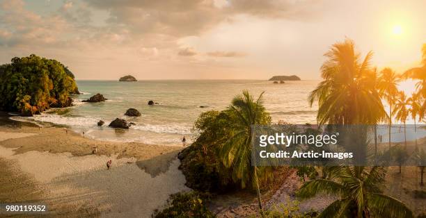 aerial - beach at corcovado national park, costa rica - costa rica stock pictures, royalty-free photos & images