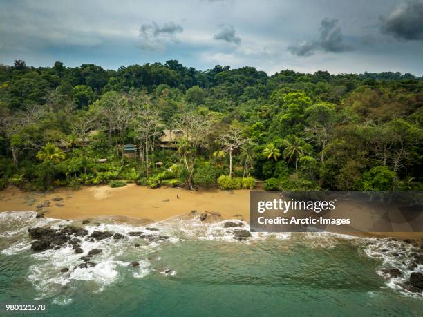 aerial - coastline, tortuguero national park, costa rica - costa rica stock pictures, royalty-free photos & images