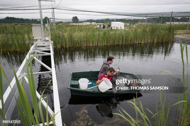 Researchers take water samples from an artificial lake of the "Planaqua" , in the CEREEP-Ecotron Research center, a CNRS center where researchers can...