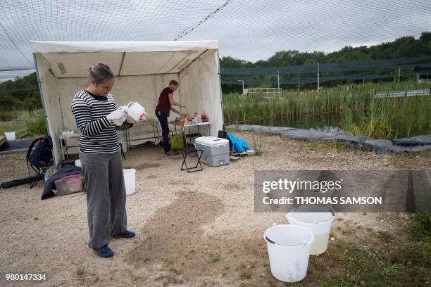 Researchers take water samples from an artificial lake of the "Planaqua" , in the CEREEP-Ecotron Research center, a CNRS center where researchers can...