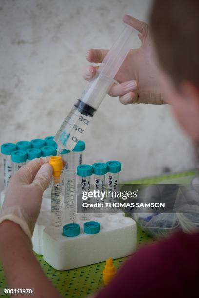 Researcher takes water samples from an artificial lake of the "Planaqua" , in the CEREEP-Ecotron Research center, a CNRS center where researchers can...