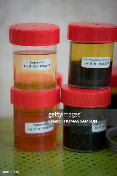 This photo taken on June 18, 2018 shows samples of zooplankton, phytoplankton, and macroinvertebrates taken from an artificial lake of the "Planaqua"...