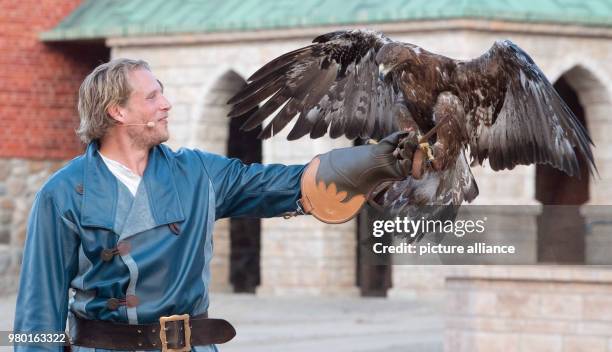 June 2018, Germany, Ralswiek: Alexander Koll as pirate Klaus Stoertebeker and the eagle 'Laran' performing at the press screening on the outdoor...