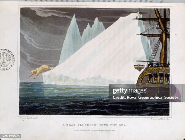 Polar bear plunging into the sea, From 'Voyage of discovery in H.M. Ships 'Isabella' and 'Alexander', for the purpose of exploring Baffin's Bay and...