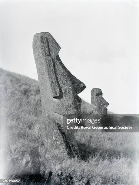 Statues on Rano Raraku showing distension of ear, Easter Island , 1913. Mana Expedition to Easter Island 1913-1916.