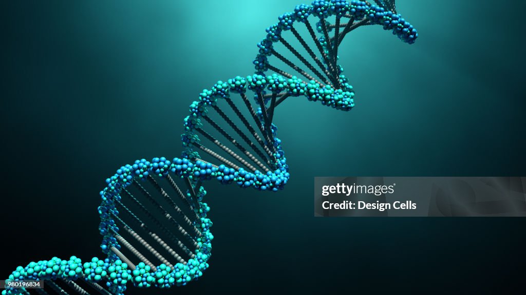 DNA moléculas