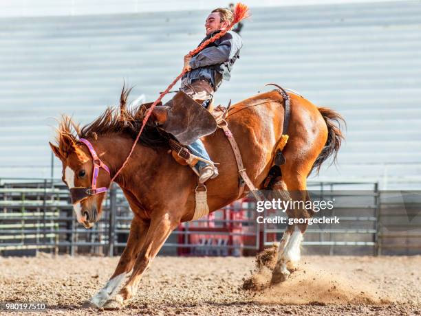 acción bronco bucking - cuarto de milla fotografías e imágenes de stock