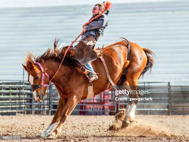 bucking bronco action - taming horse stock pictures, royalty-free photos & images