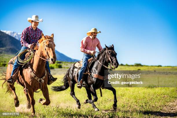 galloping in the wilderness - cowboy riding stock pictures, royalty-free photos & images