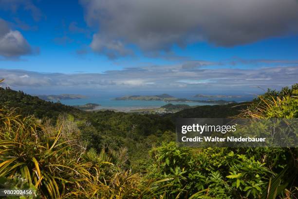 Coromandel Ranges 145 Coromandel Forest Stock Photos, High-Res Pictures, and Images ...
