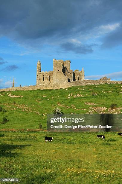 rock of cashel, cashel, county tipperary, ireland - cashel stock pictures, royalty-free photos & images