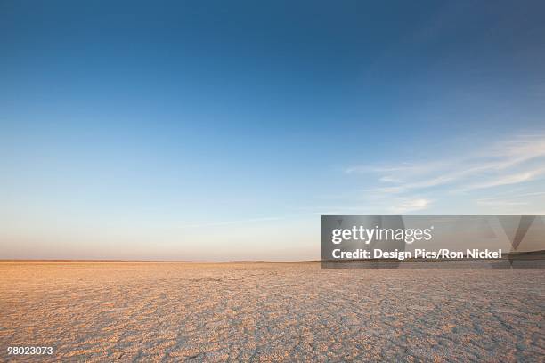 dry ground reaching into the horizon - hanna alberta stock pictures, royalty-free photos & images
