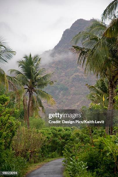 a road surrounded by lush foliage, bali, indonesia - livit fotografías e imágenes de stock