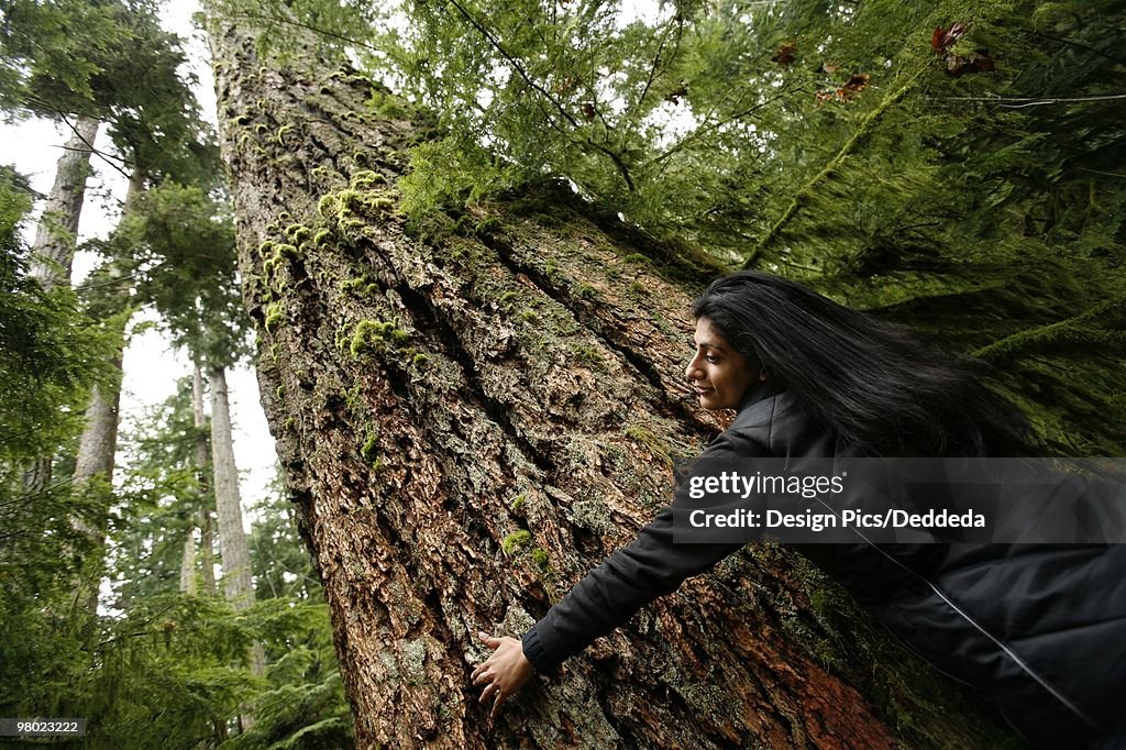 Woman hugs a tree in Cathedral Grove, MacMillan Provincial Park, Vancouver Island, British Columbia,