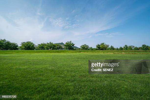 scenic view of field against cloudy sky - prateria campo foto e immagini stock