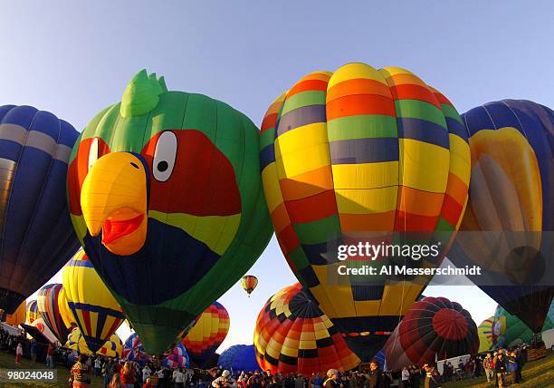 Hot air balloons wait for liftoff during a morning ascent at the Albuquerque International Balloon Fiesta on October 8, 2005.