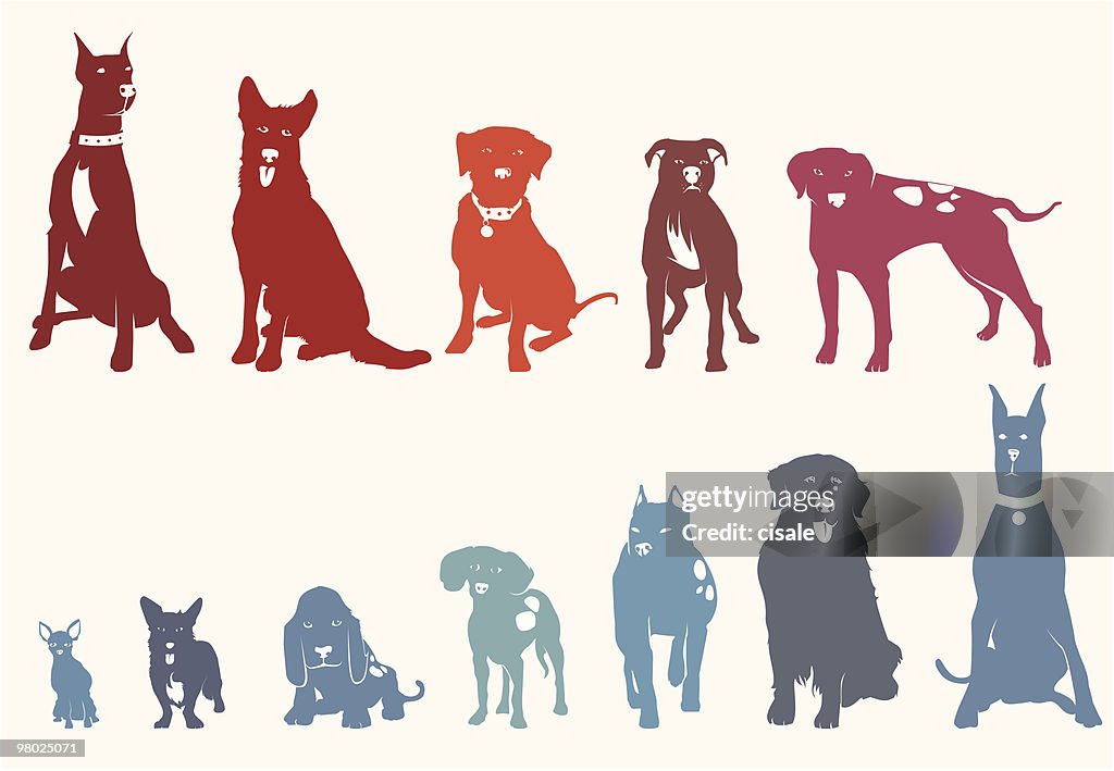 Hunde