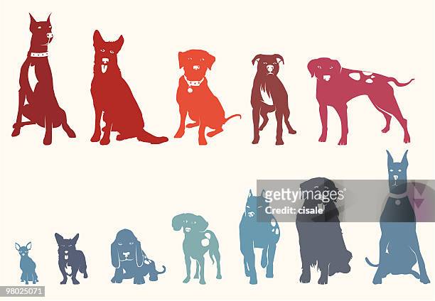 犬 - pitbullterrier点のイラスト�素材／クリップアート素材／マンガ素材／アイコン素材