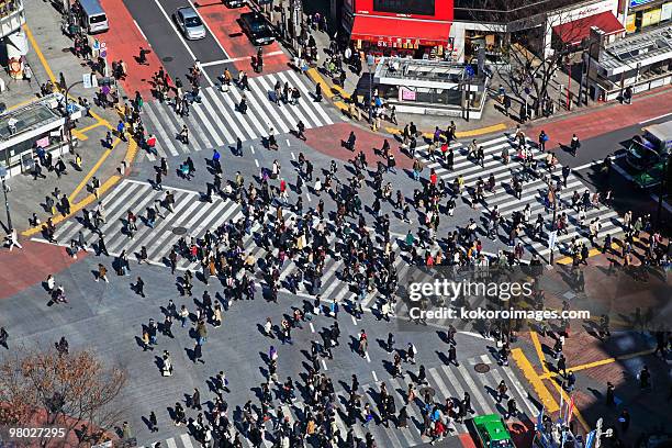 commuters on shibuya crossing - bezirk shibuya stock-fotos und bilder