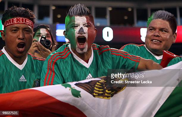 Fans cheer on Mexico during an international friendly against Iceland at Bank of America Stadium on March 24, 2010 in Charlotte, North Carolina.