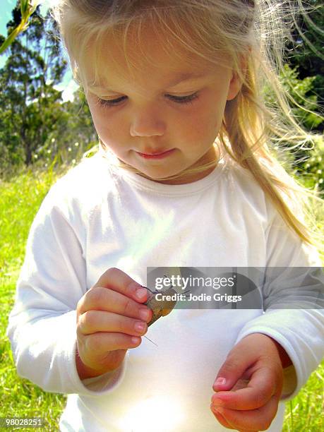 young girl holding a bug - the laslett cru kafe host cocktails in support of st marys childrens fund stockfoto's en -beelden