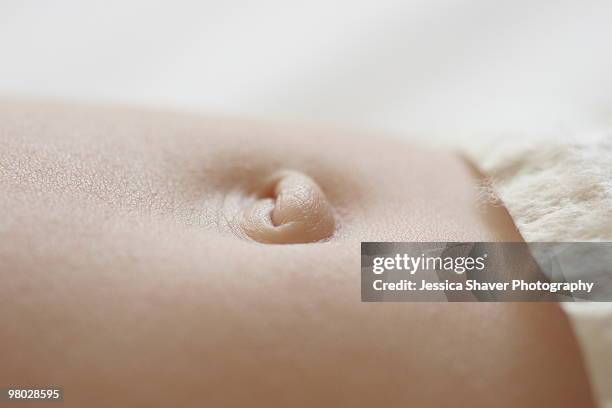 belly button - male belly button stock pictures, royalty-free photos & images