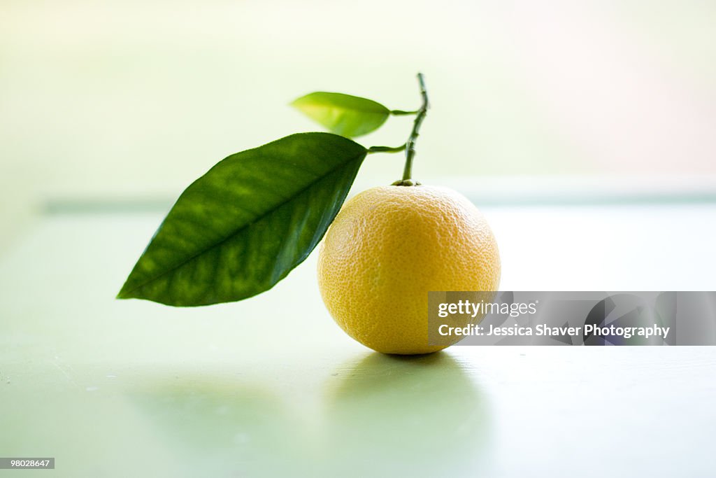 One valencia orange