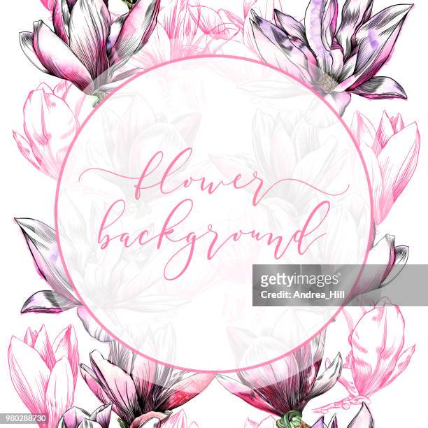 ilustraciones, imágenes clip art, dibujos animados e iconos de stock de plantilla de diseño de flor de magnolia en patrones sin fisuras en acuarela y tinta - magnolia soulangeana