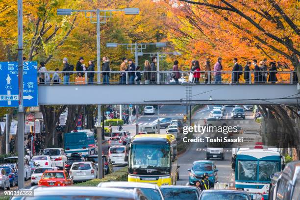 rows of autumn leaves zelkova surround the omotesando (frontal approach) between harajuku and aoyama district shibuya tokyo japan on november 26 2017. people cross the pedestrian bridge and cross the street and cars go through the avenue under the bridge. - auto frontal stock pictures, royalty-free photos & images