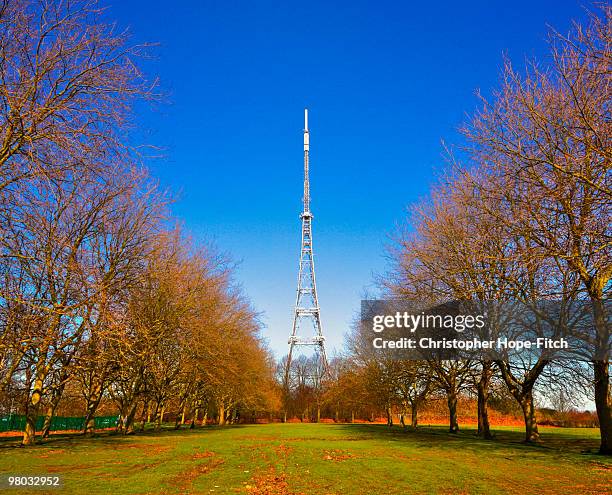 crystal palace mast - crystal palace london - fotografias e filmes do acervo