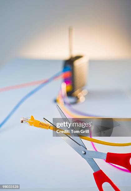 188 Ethernet Cable Cut Stock Photos, High-Res Pictures, and Images ...