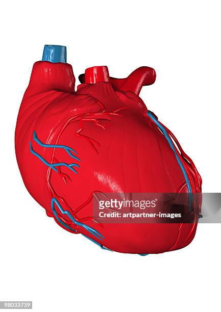 ilustraciones, imágenes clip art, dibujos animados e iconos de stock de (human) heart in a biomedical illustration - fisiología