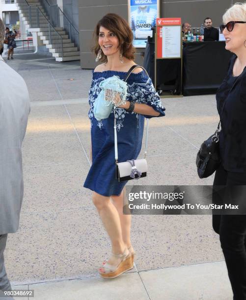 Nia Vardalos is seen on June 20, 2018 in Los Angeles, California.