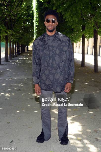 Chadwick Boseman attends the Louis Vuitton Menswear Spring/Summer 2019 show as part of Paris Fashion Week on June 21, 2018 in Paris, France.