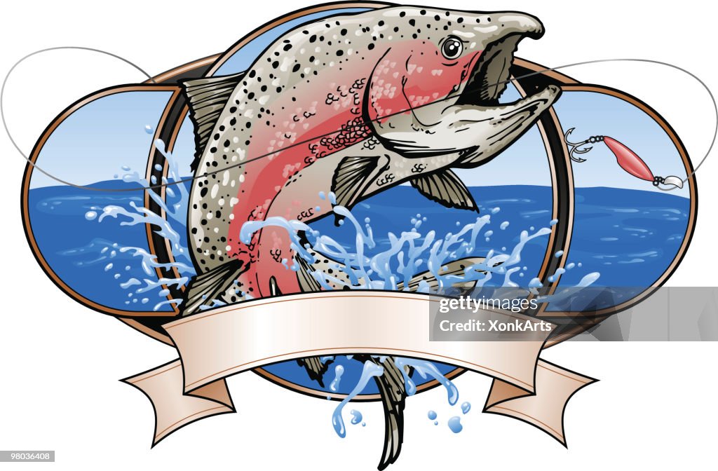 Spawning Drawing Fish Spawning Salmon Fishing High-Res Vector Graphic - Getty Images