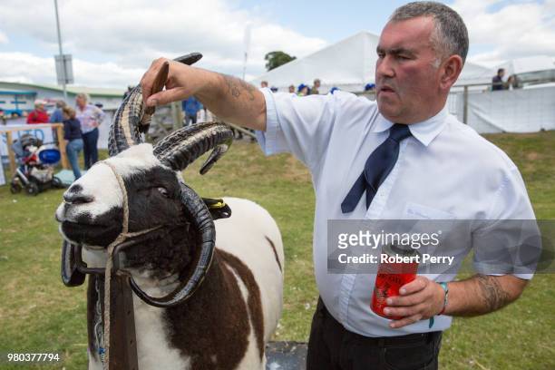 Gordon Connor from Linlithgow with a Jacob sheep as he prepares it for the Royal Highland Show on June 21, 2018 in Edinburgh, Scotland.