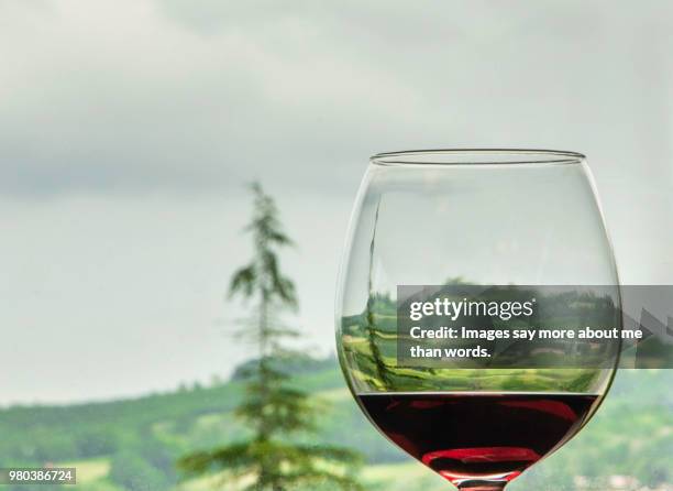 the barolo region through a glass of barolo wine. still life. - zinfandel grape - fotografias e filmes do acervo