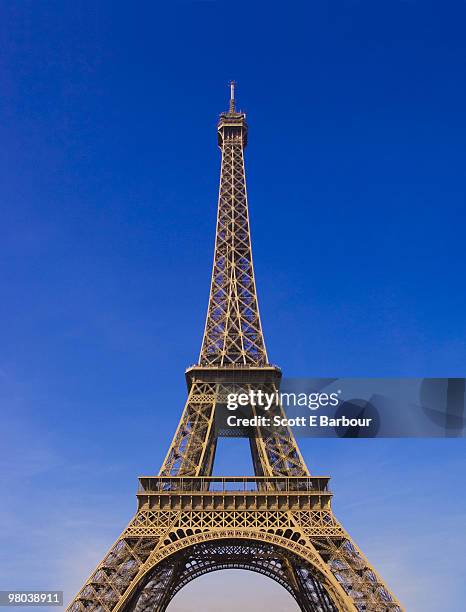 eiffel tower - eiffeltoren stockfoto's en -beelden