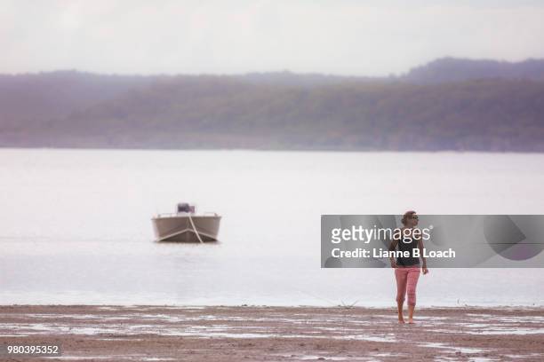 beach walk 7 - lianne loach stock pictures, royalty-free photos & images