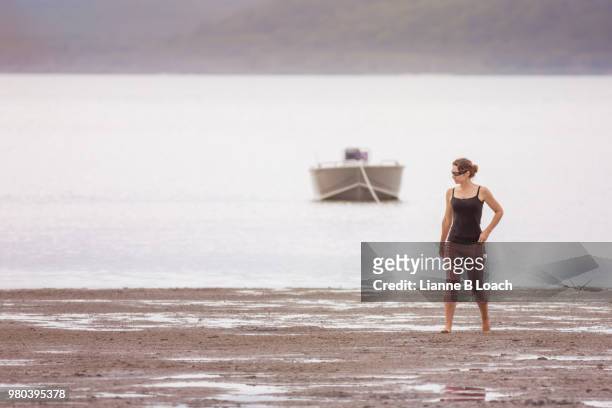 beach walk 9 - lianne loach stock pictures, royalty-free photos & images