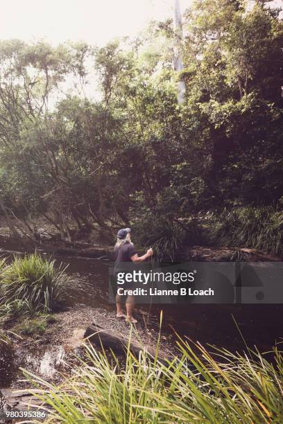 forest stream 2 - lianne loach stock pictures, royalty-free photos & images