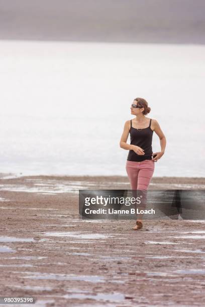 beach walk 18 - lianne loach stock-fotos und bilder