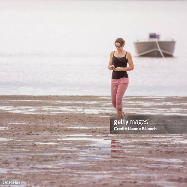 beach walk 13 - lianne loach stock pictures, royalty-free photos & images
