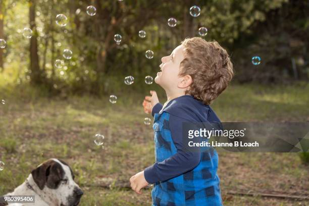 happy bubbles - lianne loach stock-fotos und bilder