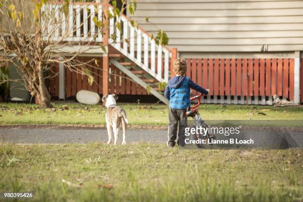 boy and dog - lianne loach stock-fotos und bilder