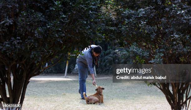 feeding dog - indischer subkontinent abstammung stock-fotos und bilder