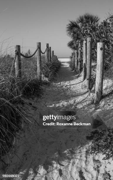 footpath to siesta key beach, sarasota, florida, usa - siesta key stockfoto's en -beelden