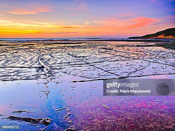 long reef - sandy macdonald stock pictures, royalty-free photos & images